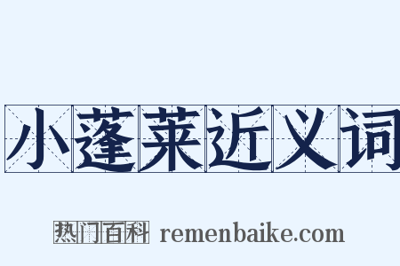 小蓬莱近义词是什么意思的图片